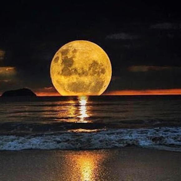 Meet your Posher, Hailey - Picture 1 of 1